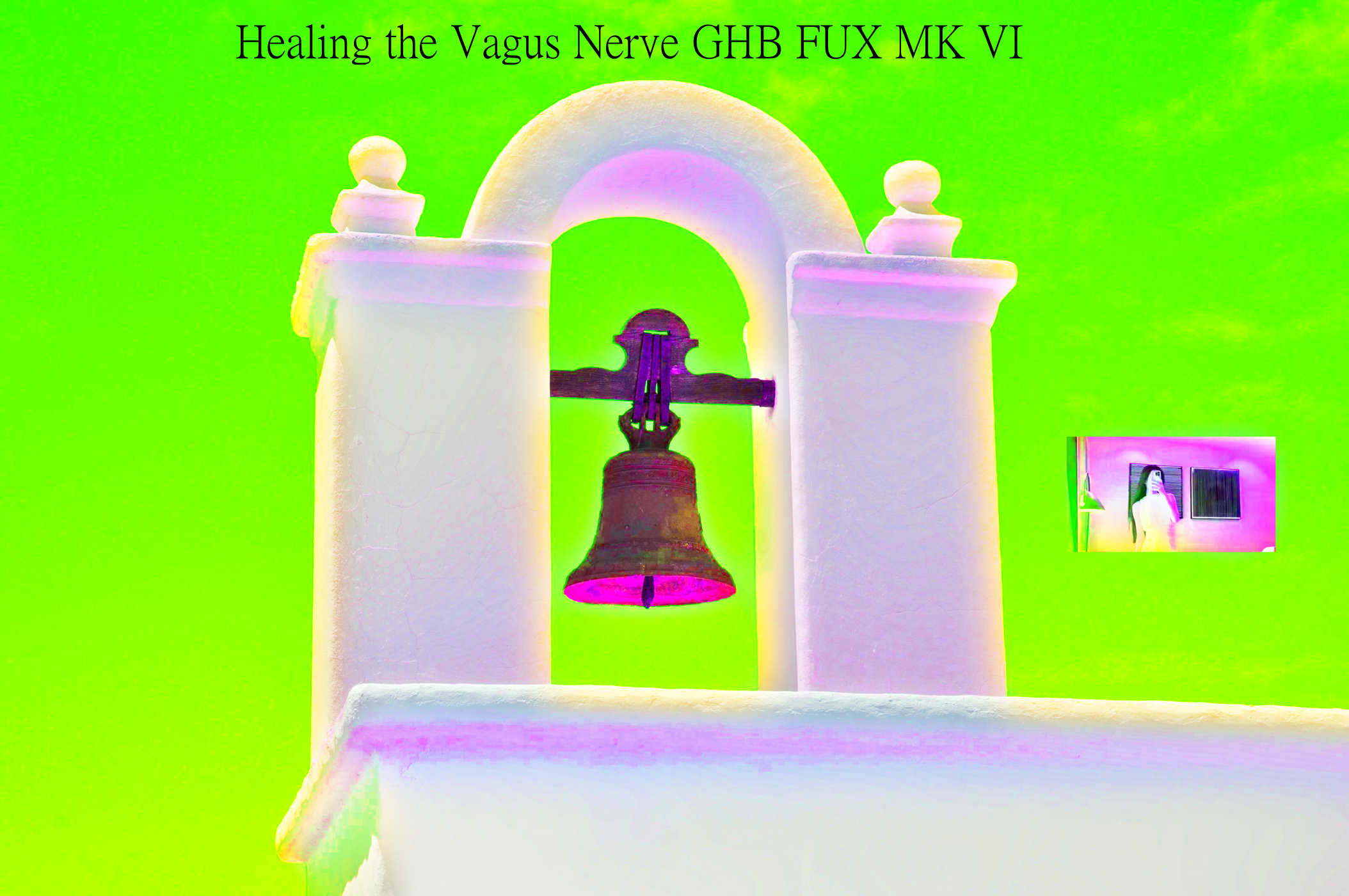 Coverhealingthevagusnerve.png